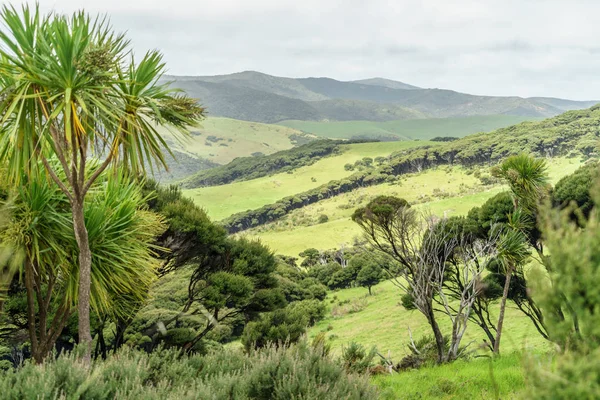 Colline — Foto stock