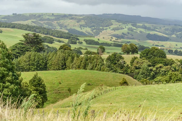 Fields — Stock Photo