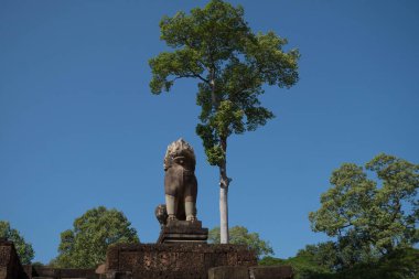 Aslan heykeli bir yaprak ağaç arka planda, Kamboçya Tapınağı