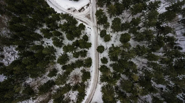 Calle Invierno Través Los Bosques Austria Paraíso Nieve — Foto de Stock