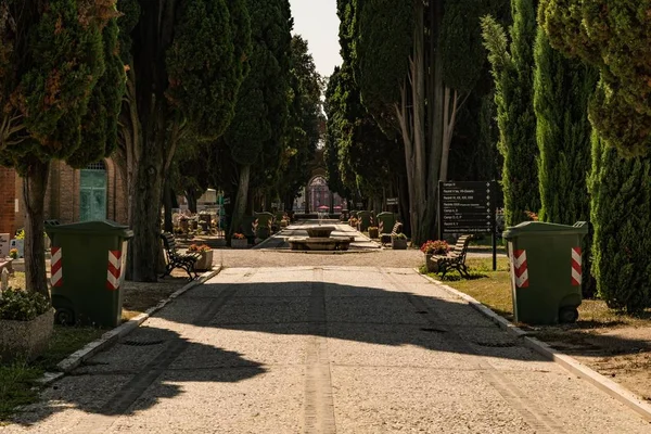 Avenida Través Del Cementerio Venecia Italia Grandes Caminos Del Parque — Foto de Stock