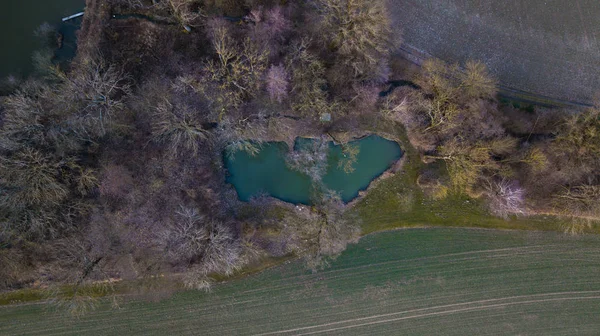 Pequeño Lago Entre Los Árboles Los Campos Gran Tiro Dron — Foto de Stock