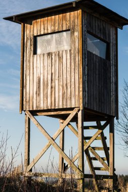 Altın ışık alan avcı durdu