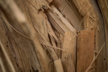 ahşap doku makro fotoğrafçılık, kırık bir ağaç içine yakın atış ahşap