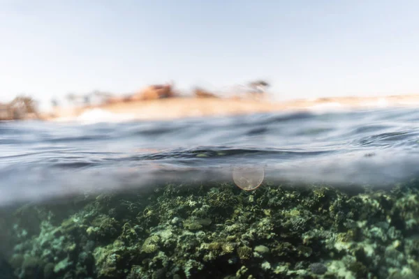 Half boven water fotografie in de prachtige oceaan van Egypte — Stockfoto