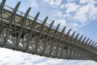 Venedik iskelet köprüsü. Fotoğraf, arichtecture fotoğrafçılık Venedik İtalya 'da.