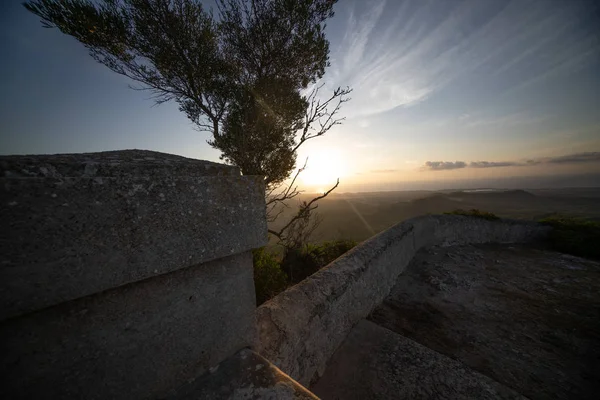 Uma única árvore em frente ao nascer do sol em Maiorca, árvore na paisagem e em frente ao nascer do sol — Fotografia de Stock