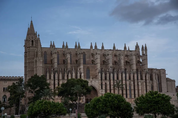 Kathedralen-La Seu, Royal Palace, La Almudaina in Palma de Mallorca, known places in Palma de Mallorca, — стокове фото