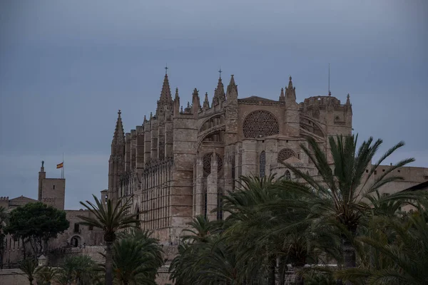 Kathedralen-La Seu, Royal Palace, La Almudaina in Palma de Mallorca, known places in Palma de Mallorca, — стокове фото