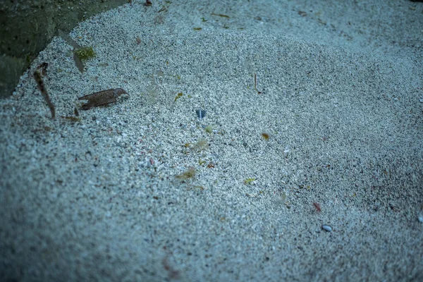 Nahaufnahme von Sand unter Wasser — Stockfoto