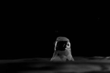 Su sıçraması izole edilmiş, su damlası yüzeye düşmüş, su damlacığı su yüzeyine çarpmış ve rebound ve patlamaya neden olmuş.