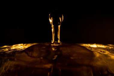 Su sıçraması, altın su sıçraması, siyah arka planda izole edilmiş su, su