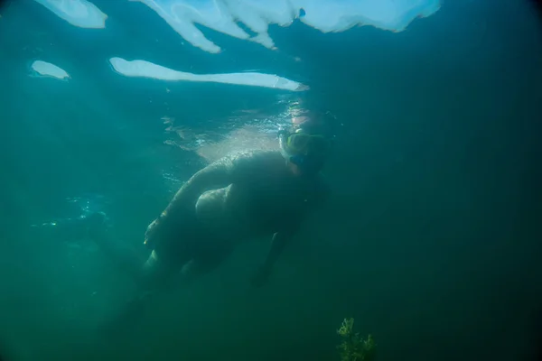 Pod Wodą Fotografia Jeziorze Austrii — Zdjęcie stockowe