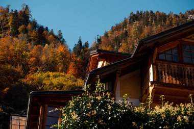 HALLSTATT 'ta geleneksel eski evler. Hallstatt 'ün güzel sonbahar manzarası. Hallstatt Avusturya 'da küçük bir kasabadır..