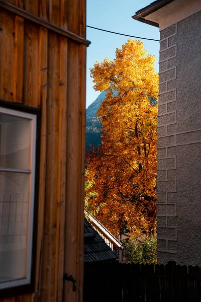 Maisons Anciennes Traditionnelles Hallstatt Belle Vue Automne Hallstatt Hallstatt Est — Photo