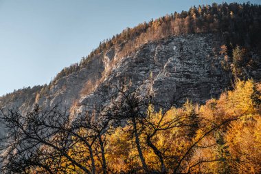 Avusturya Hallstatt 'ın güzel dağları üzerinde sonbahar günbatımı, dağ manzarası günbatımı