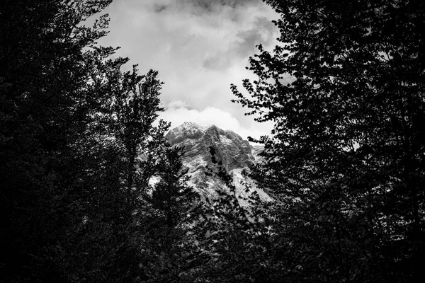 Huge mountain black and white with some trees in the foreground, beautiful mountain landscape in austria black and white image