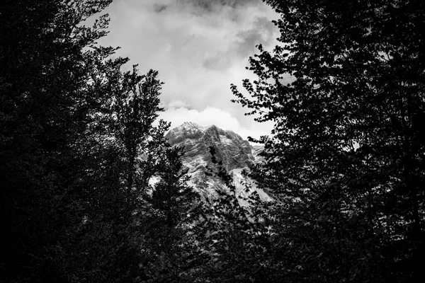 Mountain black white Images - Search Images on Everypixel Mountain black white Images - Search Images on Everypixel