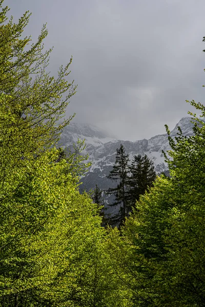 Enorme Montanha Com Algumas Árvores Primeiro Plano Bela Paisagem Montanhosa Fotografias De Stock Royalty-Free