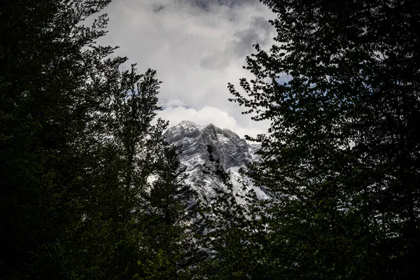 Énorme Montagne Noir Blanc Avec Quelques Arbres Premier Plan Beau Images De Stock Libres De Droits