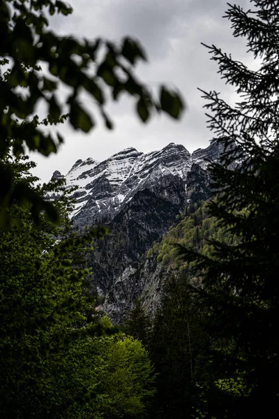 Τεράστιο Βουνό Μερικά Δέντρα Πρώτο Πλάνο Όμορφο Ορεινό Τοπίο Στην Royalty Free Εικόνες Αρχείου