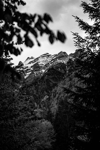 Τεράστιο Βουνό Μαύρο Και Άσπρο Μερικά Δέντρα Στο Προσκήνιο Όμορφο Φωτογραφία Αρχείου
