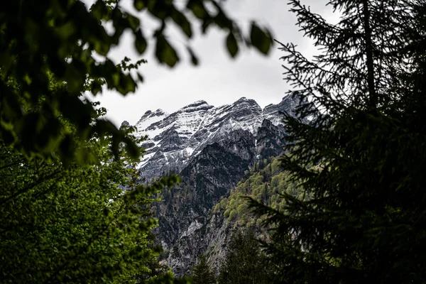 Enorme Montanha Com Algumas Árvores Primeiro Plano Bela Paisagem Montanhosa Imagem De Stock