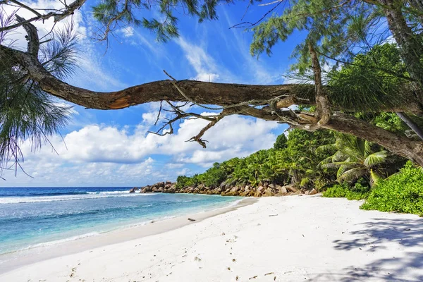 Rajská pláž na Seychely, anse cocos, la digue 3 — Stock fotografie