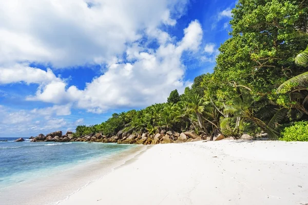 Praia paradisíaca nas seicheles, anse cocos, la digue 8 — Fotografia de Stock