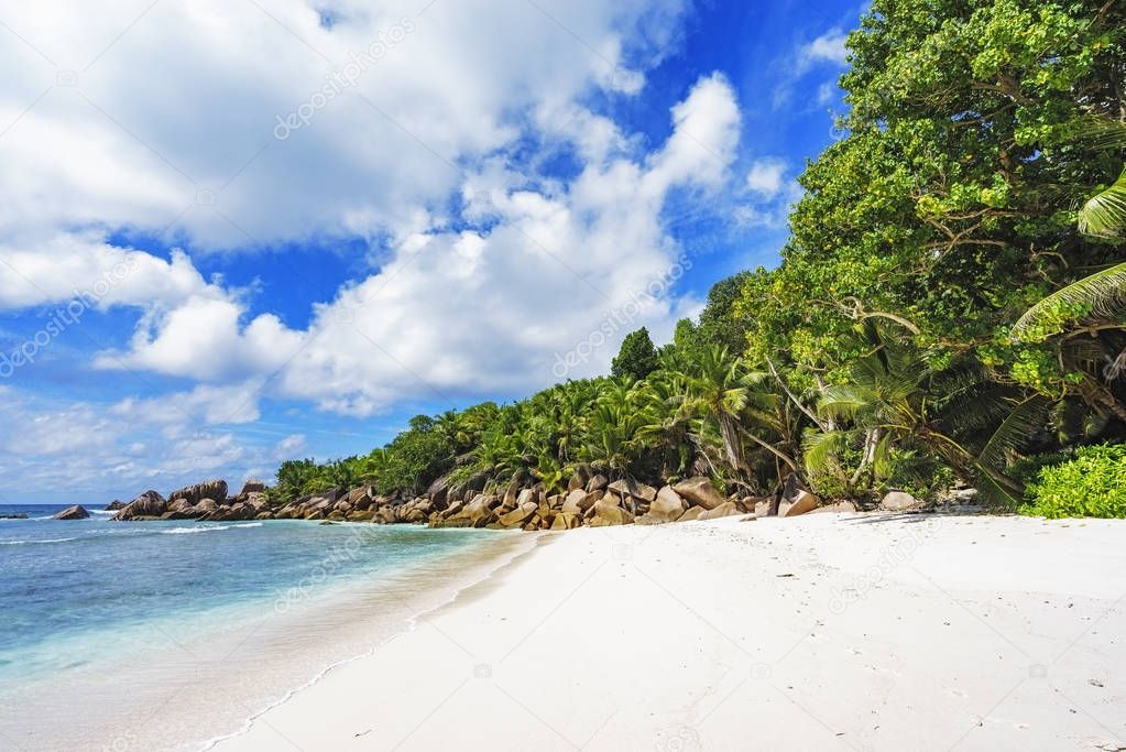 paradise beach on the seychelles, anse cocos, la digue 8