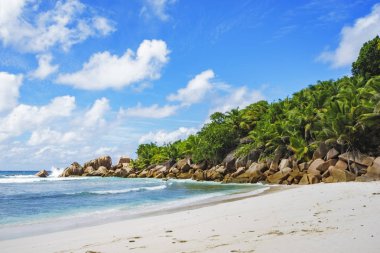 Cennet plaj Seyşeller, anse cocos, la digue 11