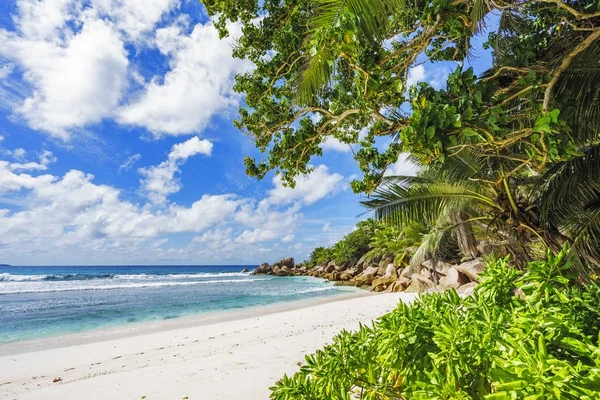 Playa paradisíaca en las seychelles, anse cocos, la digue 15 —  Fotos de Stock