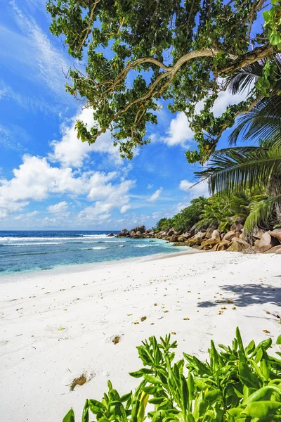 Spiaggia paradisiaca sulle seicelle, anse cocos, la digue 19 — Foto Stock