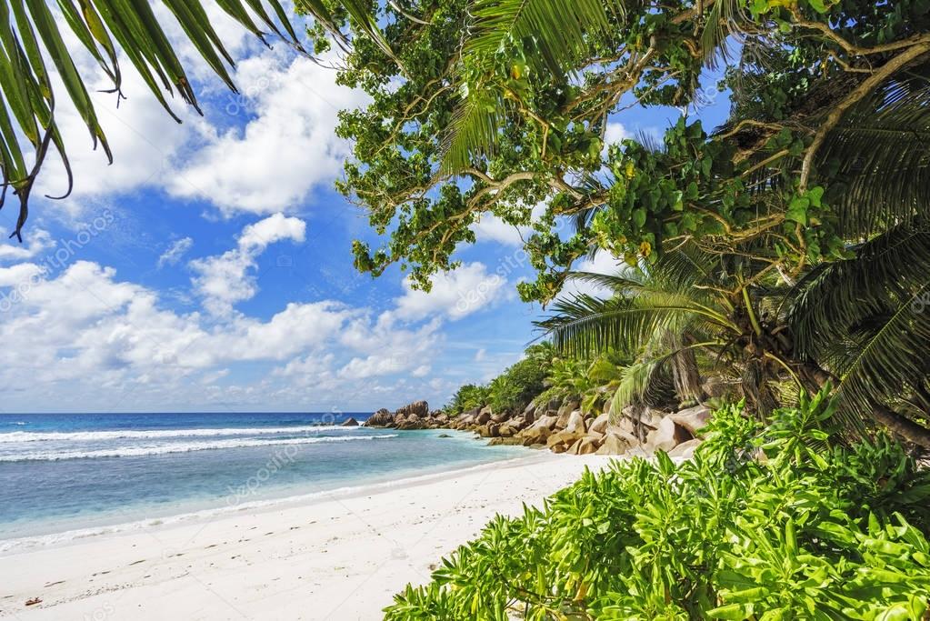 paradise beach on the seychelles, anse cocos, la digue 14