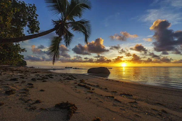 Όμορφη ανατολή του ηλίου στην παραλία paradise, Σεϋχέλλες 3 — Φωτογραφία Αρχείου