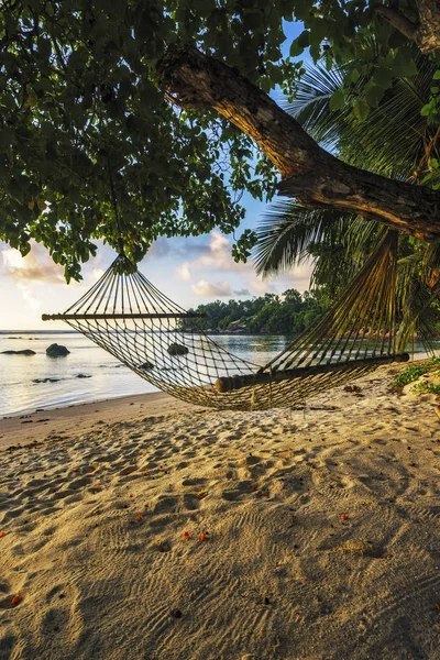 Hängematte bei schönem Sonnenaufgang am Paradiesstrand, Seychellen 1 — Stockfoto