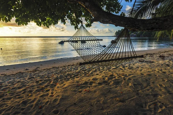 Rede no belo nascer do sol na praia paradisíaca, seicheles 4 — Fotografia de Stock