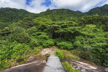 Orman, mahe, Seyşel Adaları 5 granit merdiven hiking