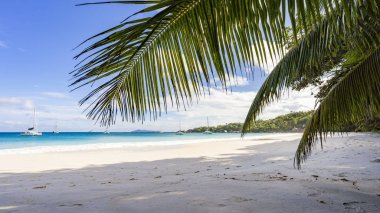 Katamaran de Seyşeller 24 üzerinde anse lazio