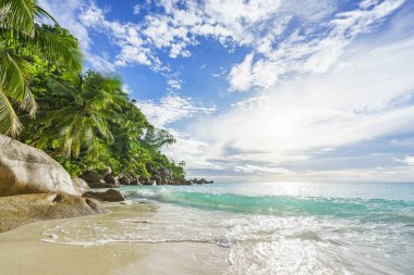 Cennet plaj anse georgette, praslin Seyşeller 45 güneşli günde