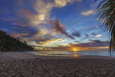 anse georgette, praslin, se gün batımında palmiye yaprağı bakarak