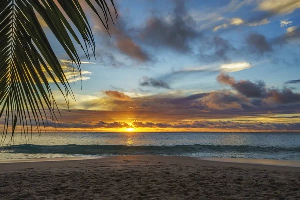 Mirando a través de la hoja de palma al atardecer en anse georgette, praslin, se — Foto de Stock