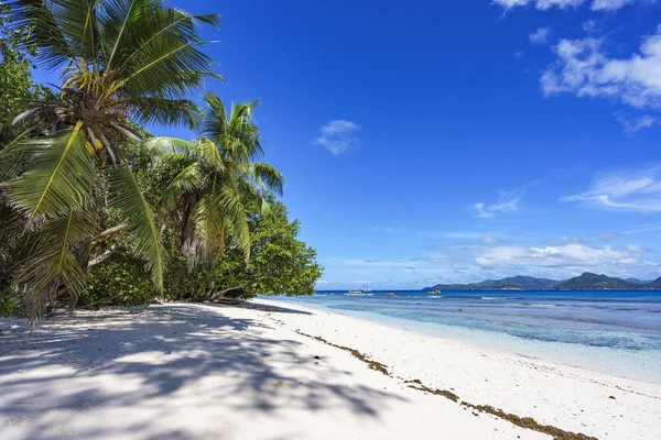 Palm trees, white sand and turquoise water at the beach of anse — Stock Photo, Image