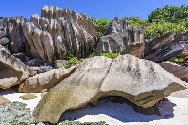 Coral reef and big granite rocks with palms at the beach of gran — Stock Photo, Image