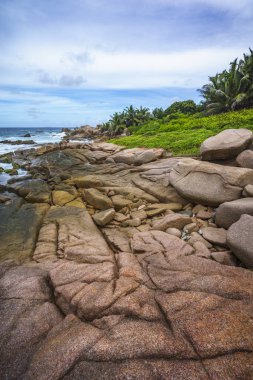 Kaba ve vahşi kayalık sahil şeridi anse songe, la digue, Seyşel