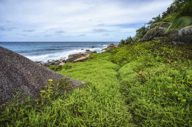 Kaba ve vahşi kayalık sahil şeridi anse songe, la digue, Seyşel