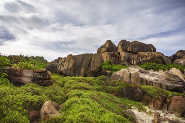 Kaba ve vahşi kayalık sahil şeridi anse songe, la digue, Seyşel