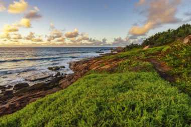 Sunrise gür yeşil çimenlerin üzerinde 3 Seyşeller