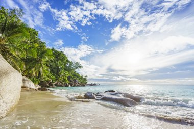 Cennet plaj anse georgette, praslin Seyşeller 43 güneşli günde