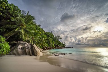 Cennet plaj anse georgette, praslin, Seyşeller 13